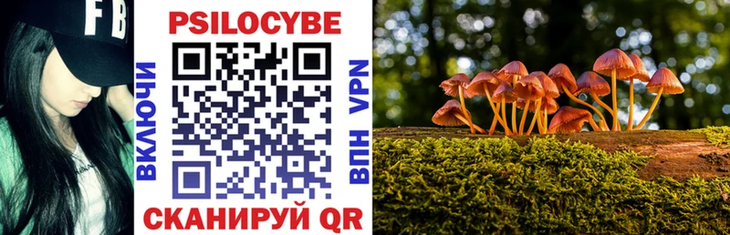 Галлюциногенные грибы прущие грибы  Нягань 
