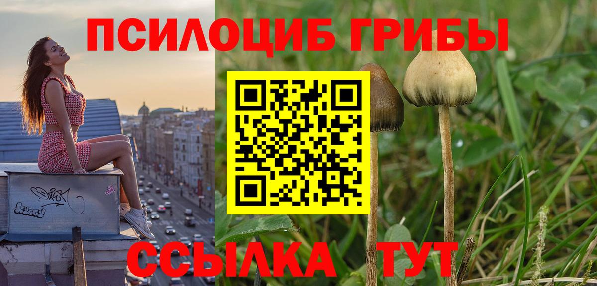 Псилоцибиновые грибы прущие грибы Нягань